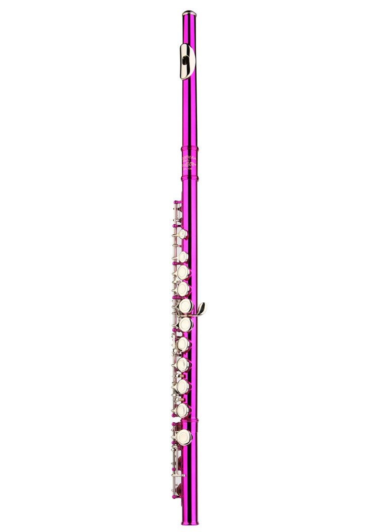 Glory Closed Hole C Flute With Case, Tuning Rod and Cloth and Gloves pink